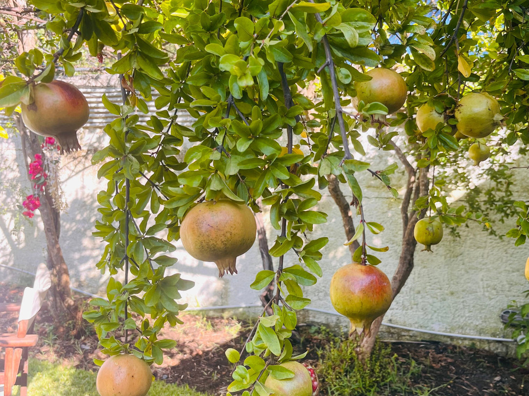 柯奈吉酒店主图