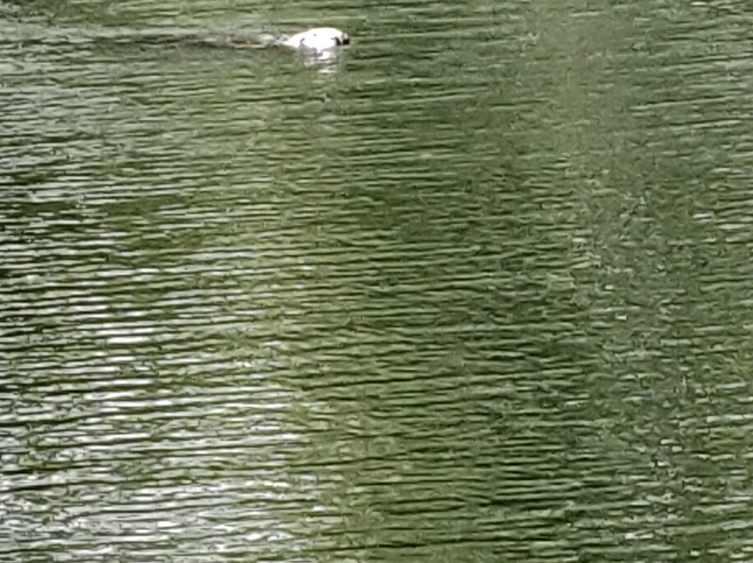 Riverside Cruises-Wraysbury必去景点