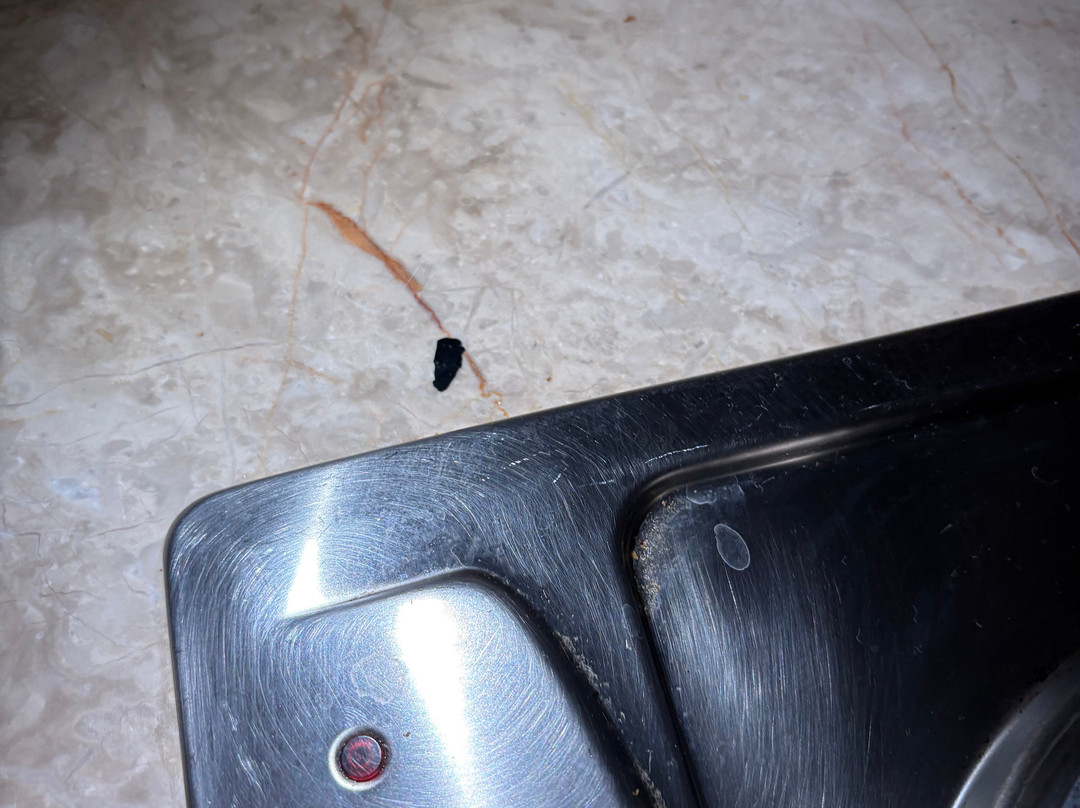 Club Alpina Apartments Hotel主图