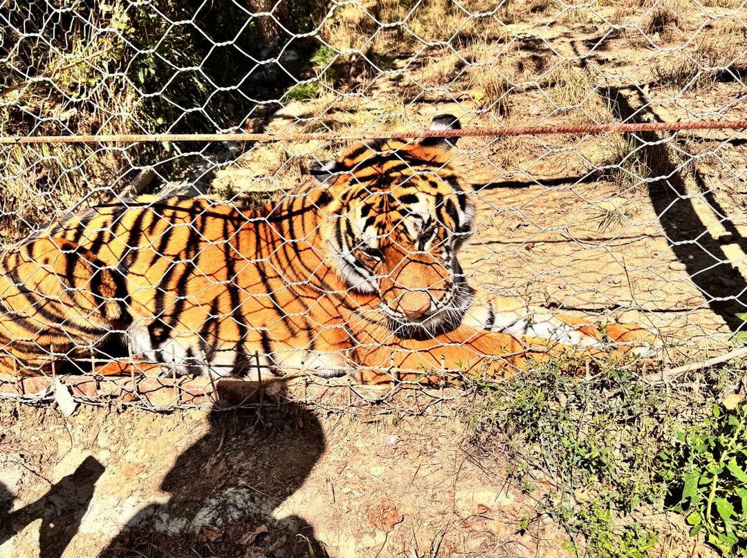 Parco Safari delle Langhe-Murazzano必去景点