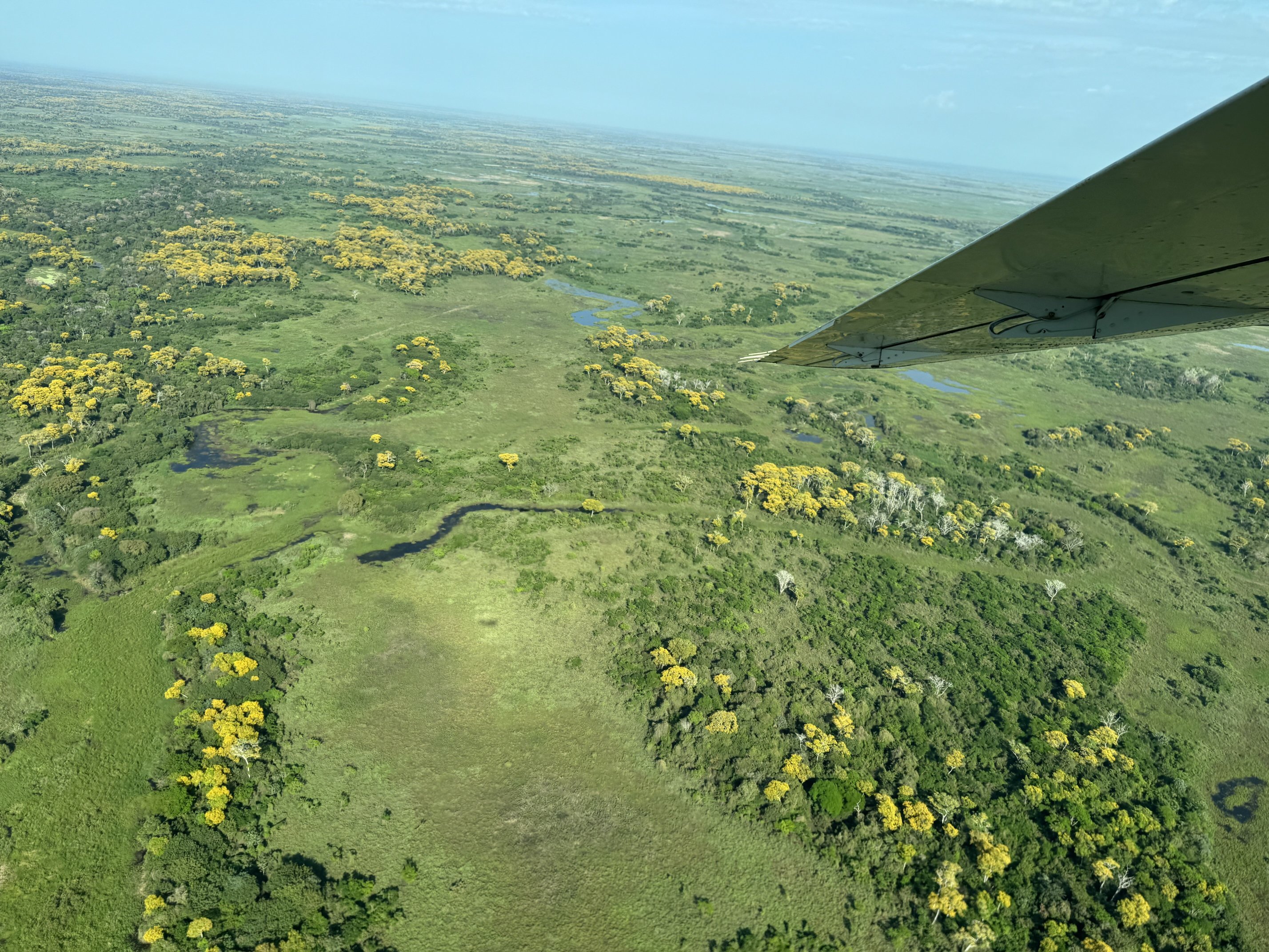 Hotel Pantanal Norte - Porto Jofre-官方