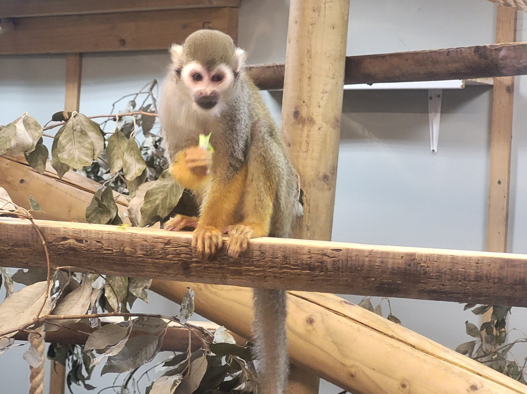 Shaldon Wildlife Trust-Shaldon必去景点