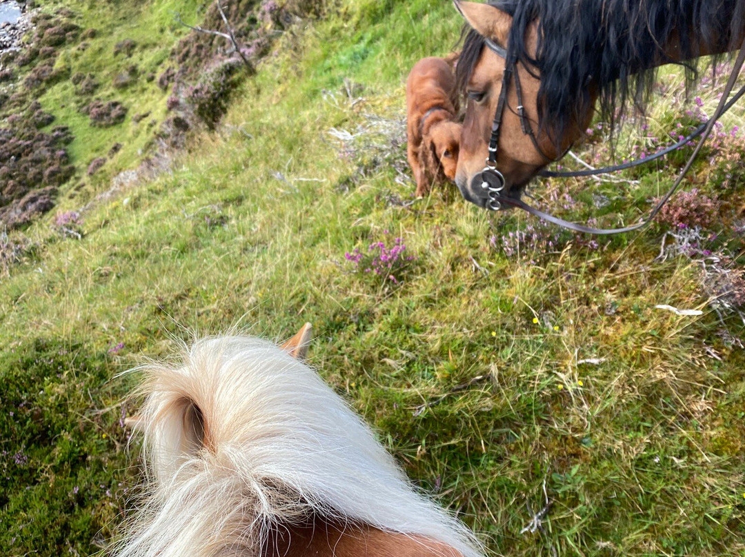 Highland Trekking and Trail Riding-Cannich必去景点
