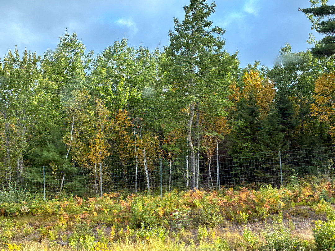 Moose Brook State Park-Gorham必去景点
