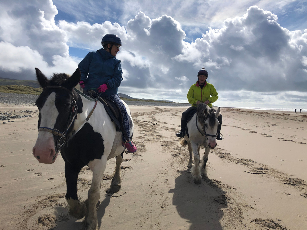 Pony Trekking at Bwlchgwyn Farm-Arthog必去景点