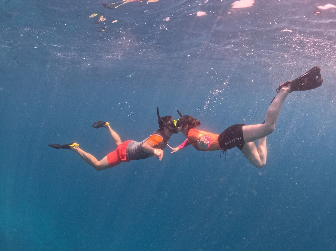 Saipe Maldives-Fulidhoo必去景点