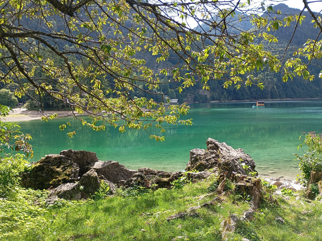 Lago del Predil-Tarvisio必去景点