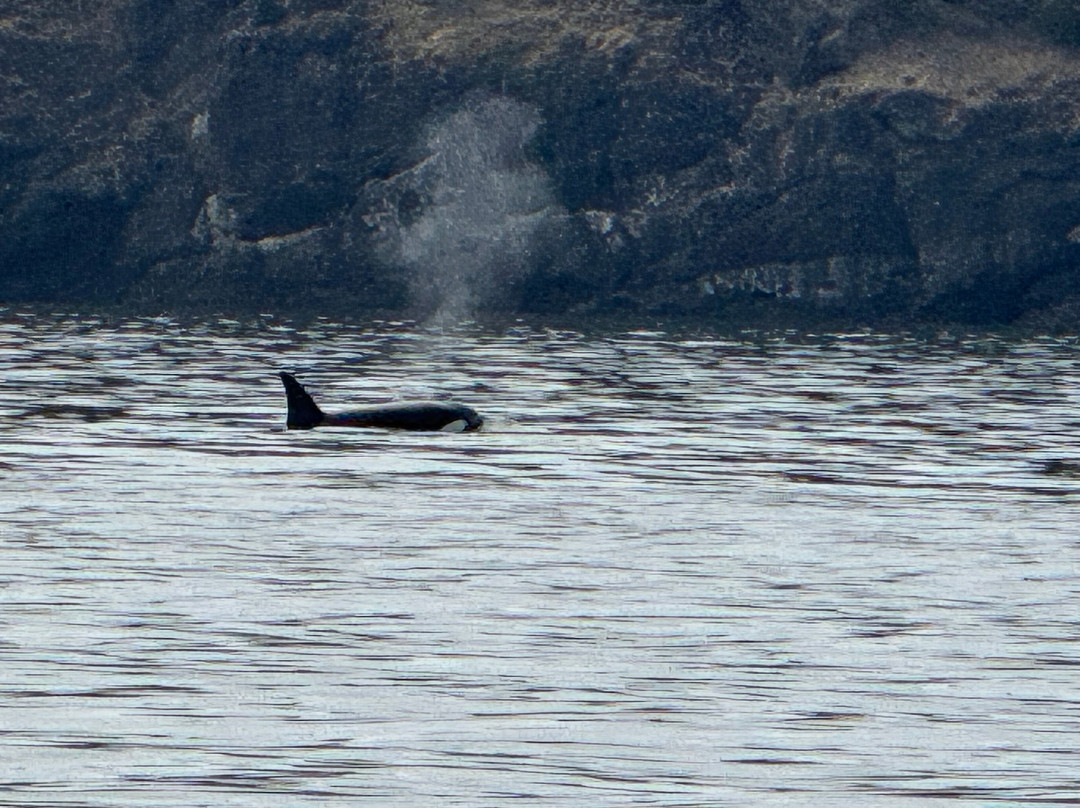 Deer Harbor Charters-Deer Harbor必去景点