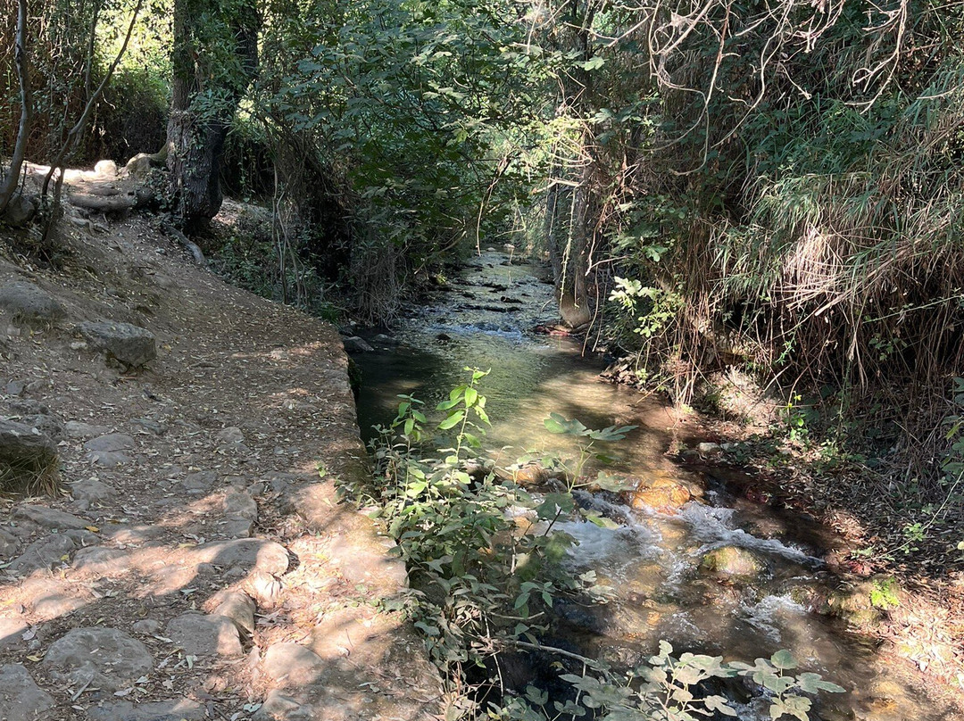 Sendero Rio Majaceite-El Bosque必去景点
