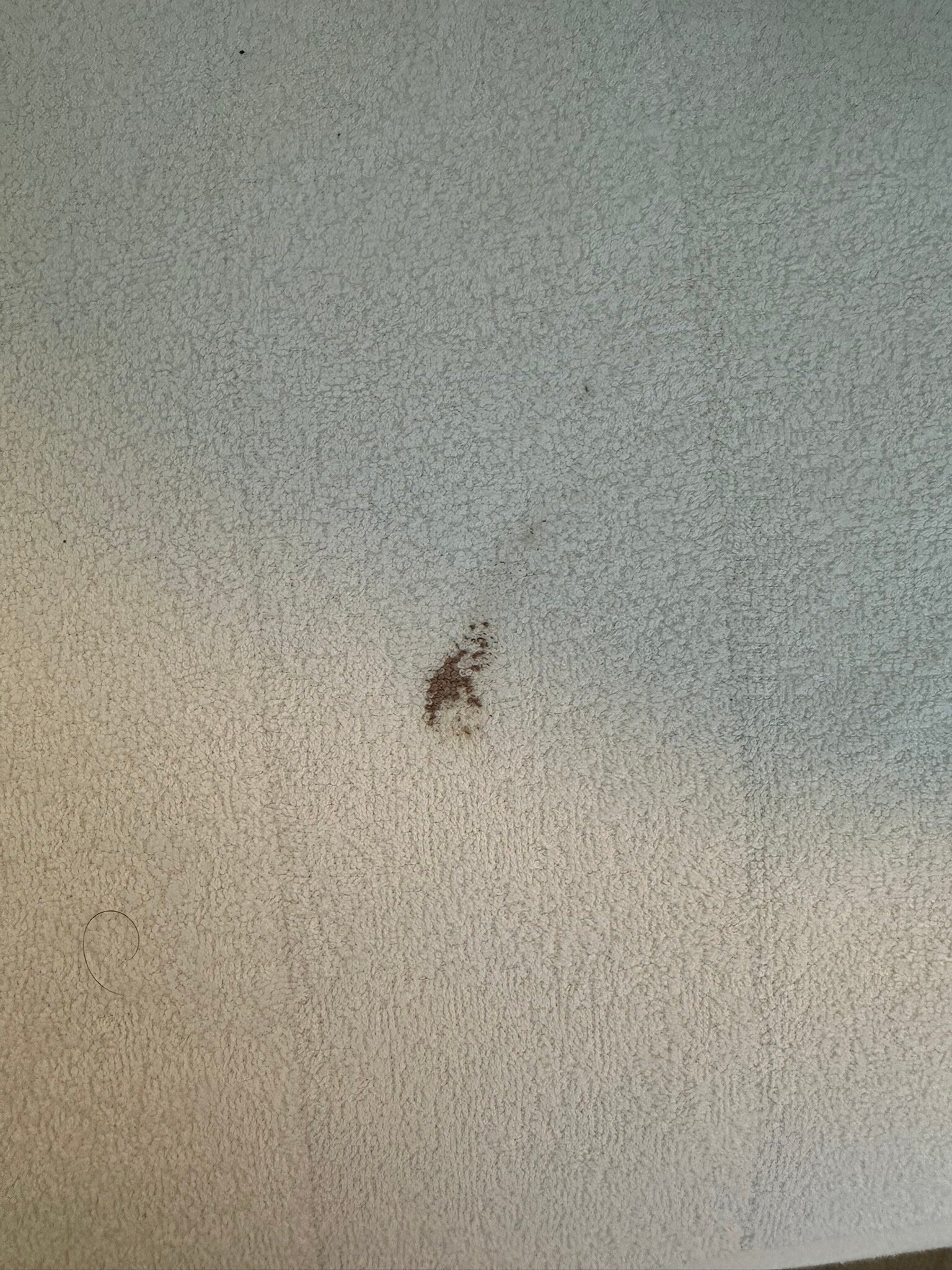 Hotel Vestmannaeyjar-官方