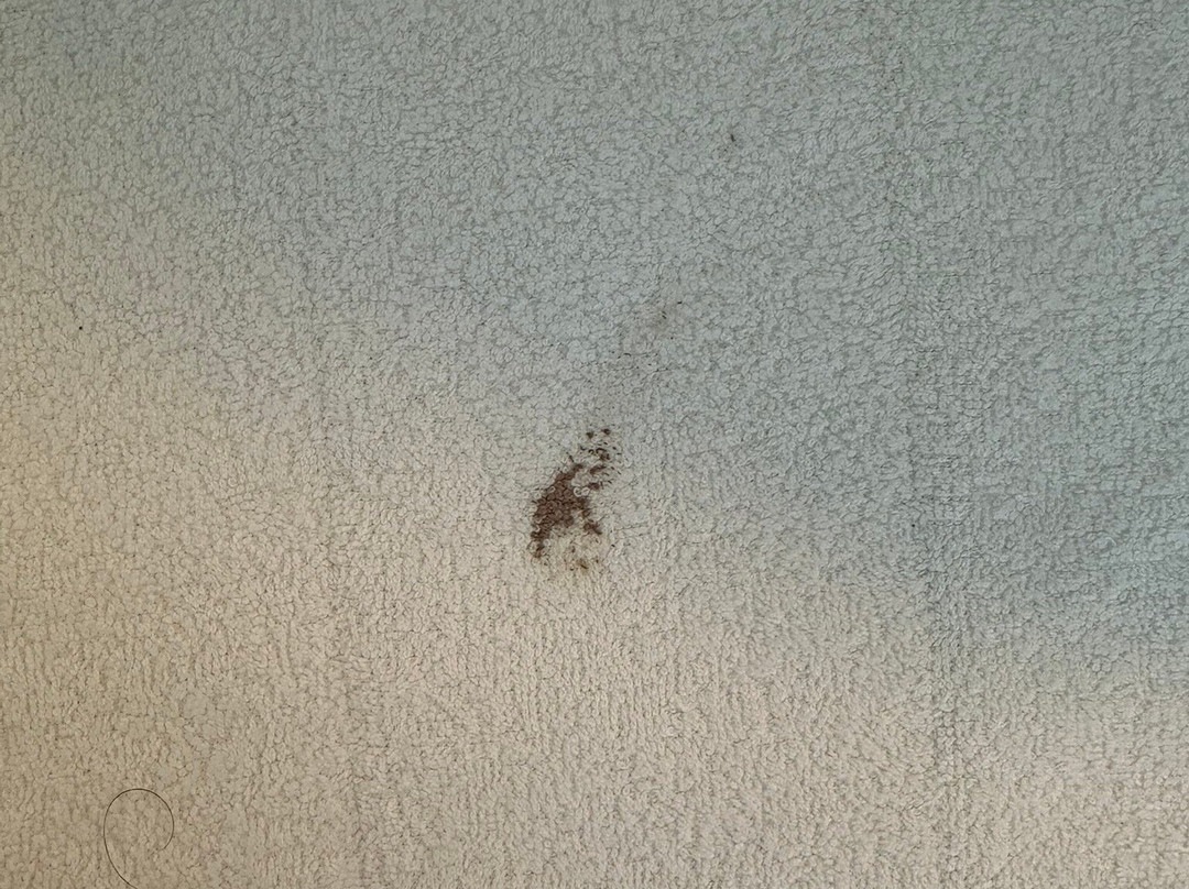 Hotel Vestmannaeyjar主图