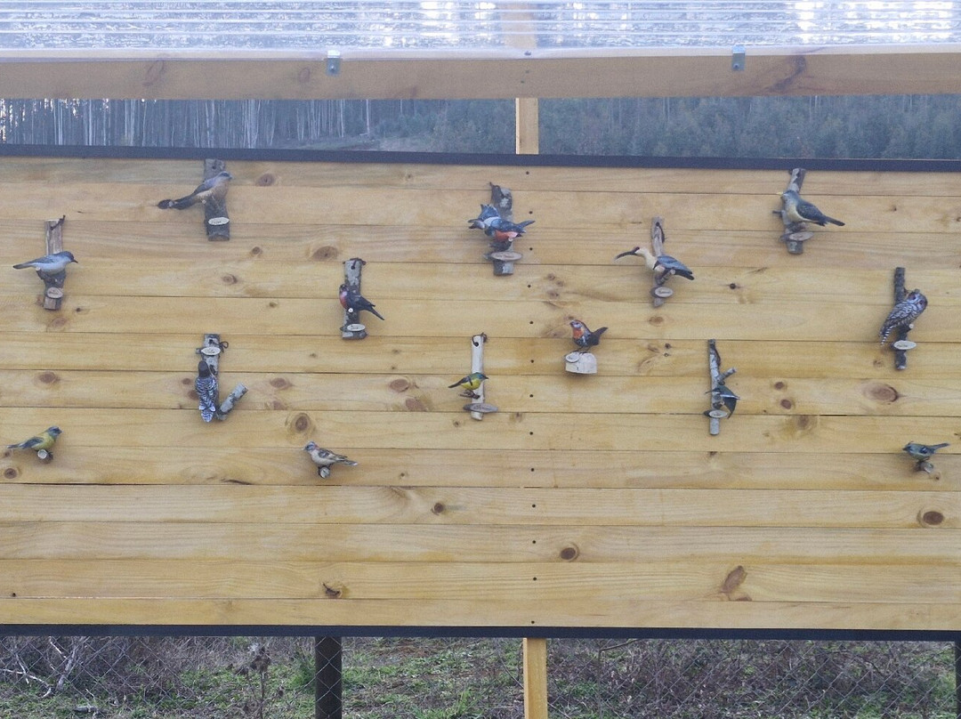 Turismo Pitrufquén-Pitrufquen必去景点