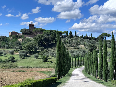 The Tuscan Wanderer-卢卡必去景点
