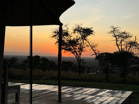 Forever Athletic-内罗毕必去景点