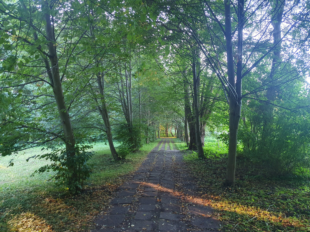 Leszkiland Pension主图