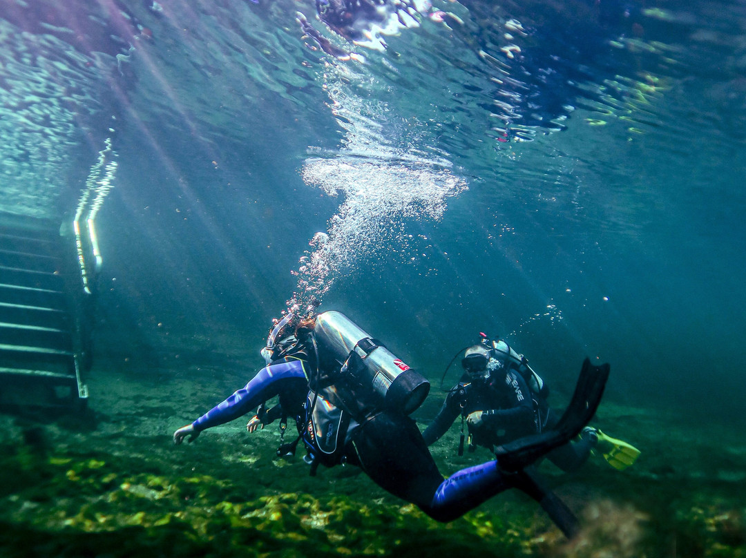 Florida Dive Company-橙县必去景点