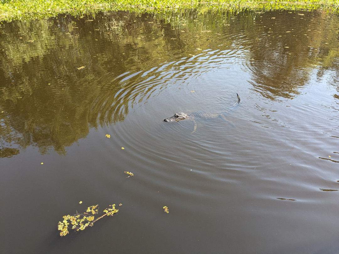Ultimate Swamp Adventures-Westwego必去景点