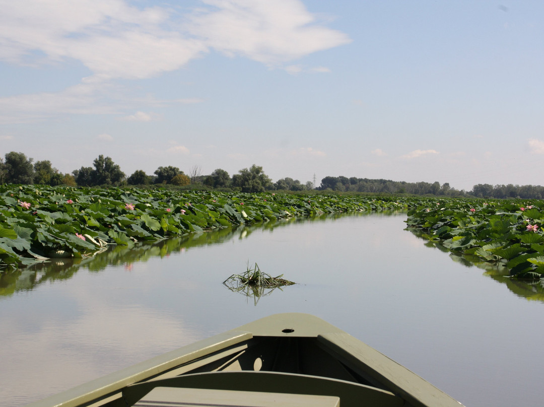 Navigazione Mincio-Rivalta sul Mincio必去景点