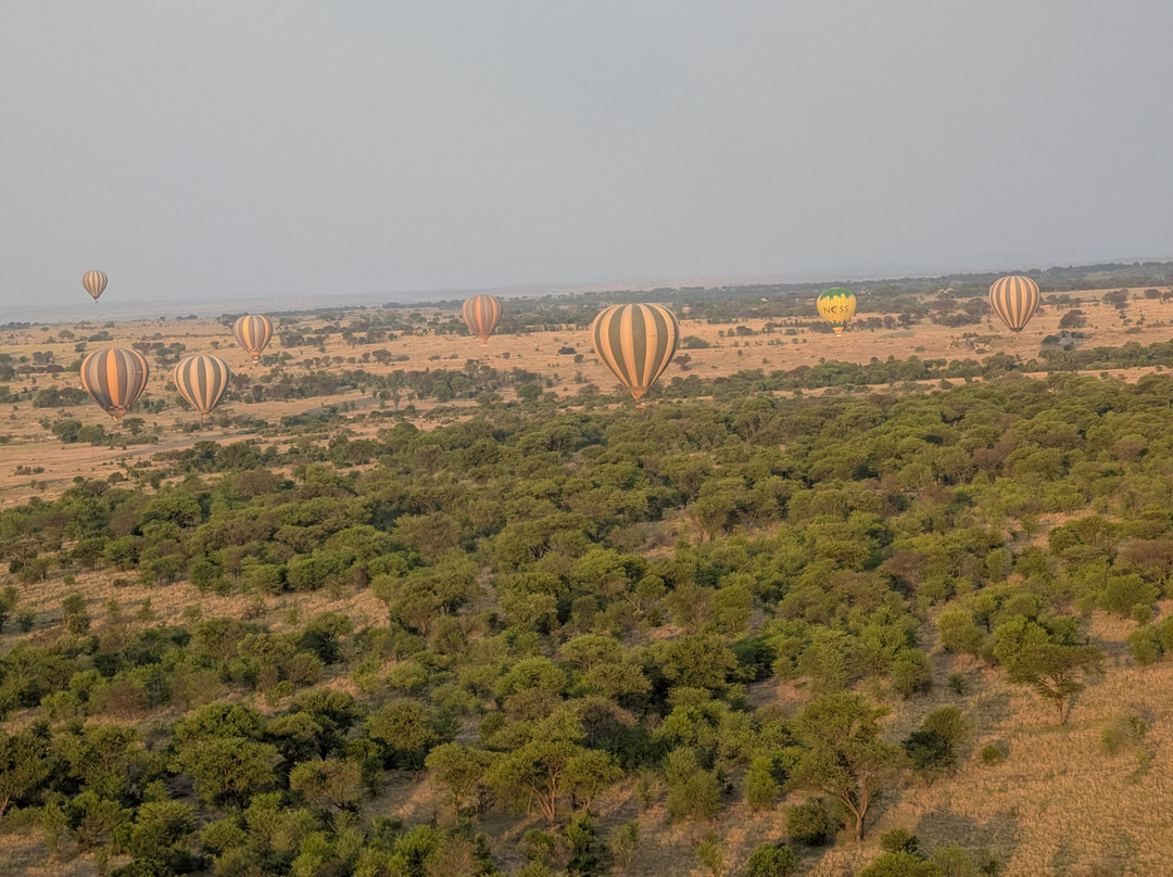 Adventures Aloft Balloon Safari Tanzania-Ikoma必去景点