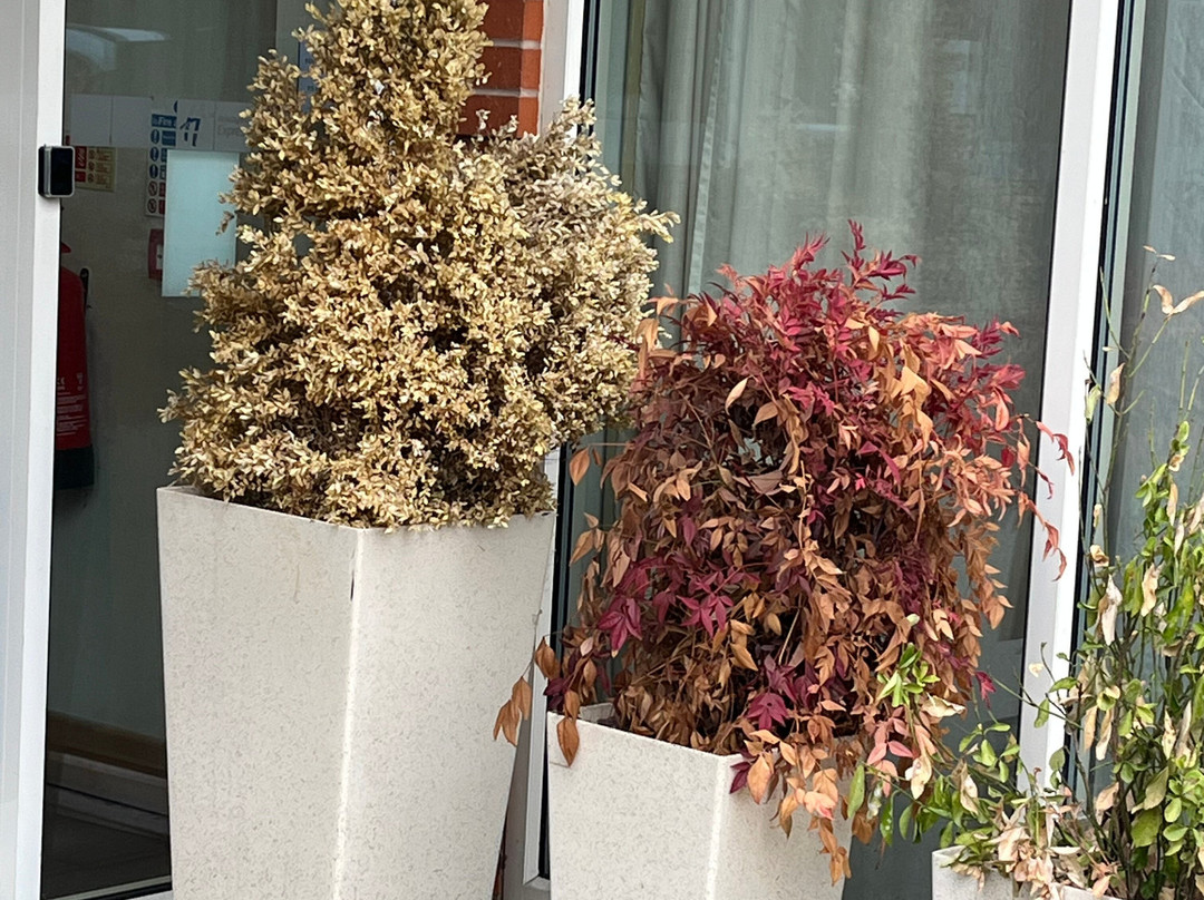 快捷假日雷迪奇酒店主图