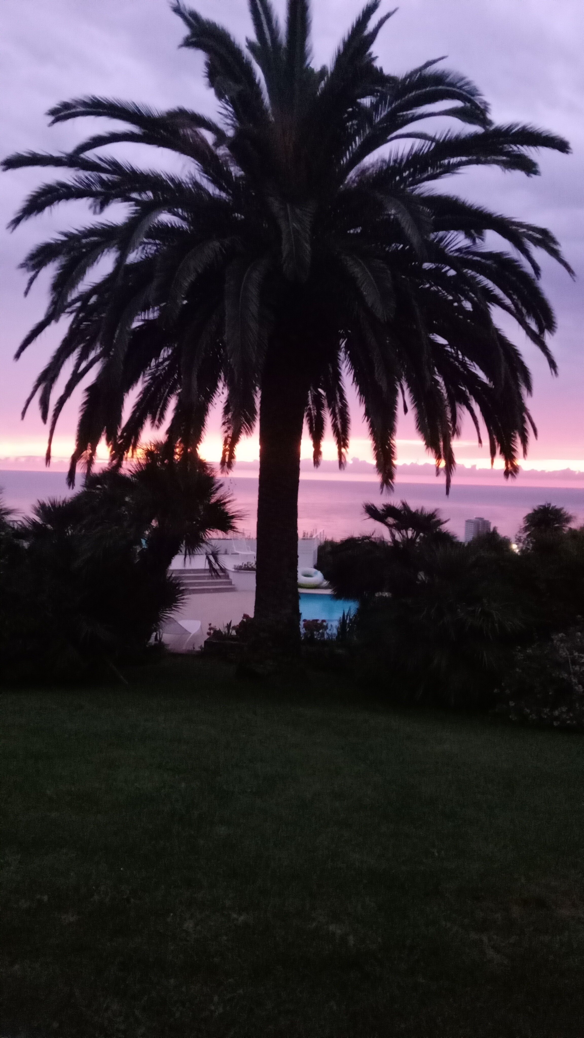 Villa Capodarco-酒店景观