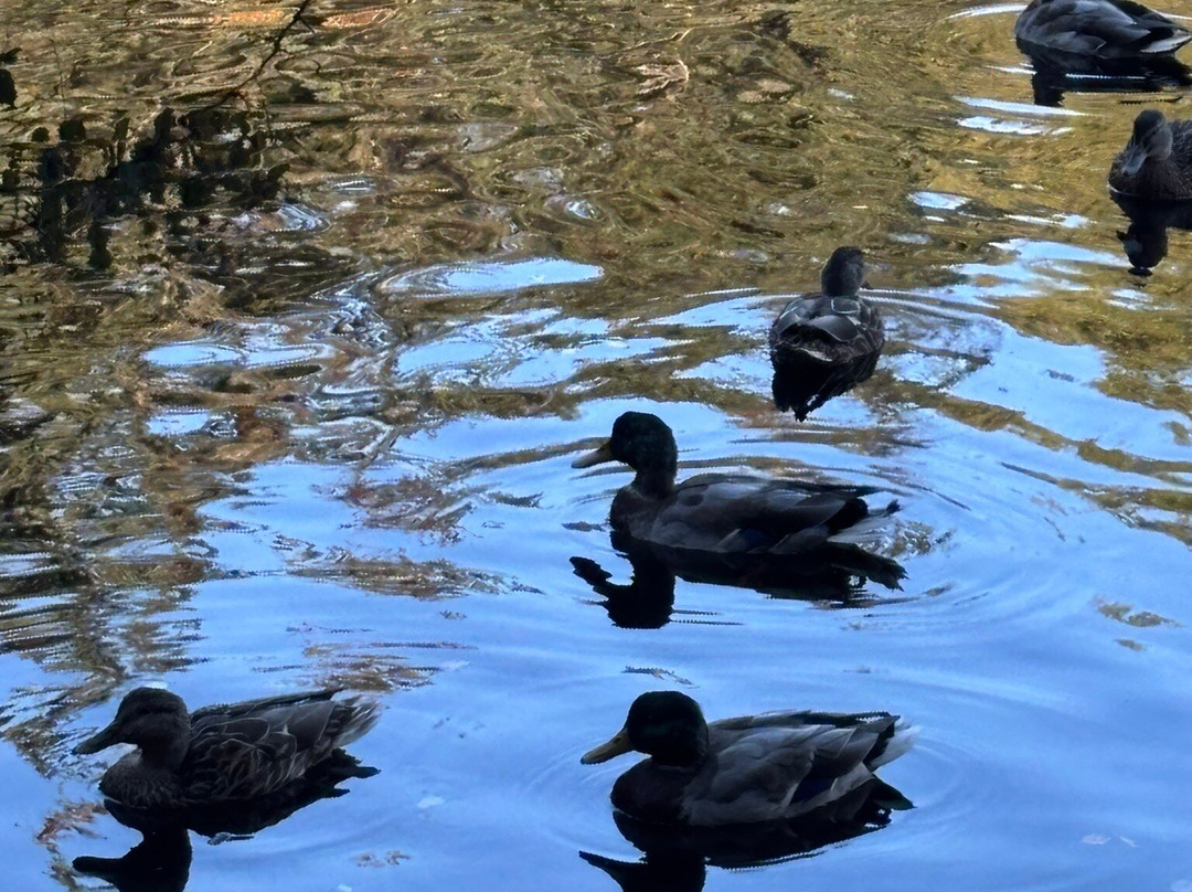 Glencoe Lochan-Glencoe Village必去景点