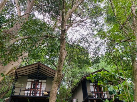 Ele Camp Udawalawa-客卧