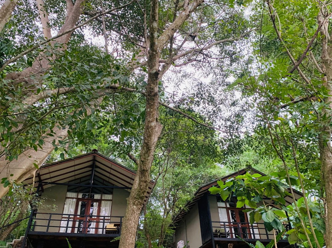 Ele Camp Udawalawa主图