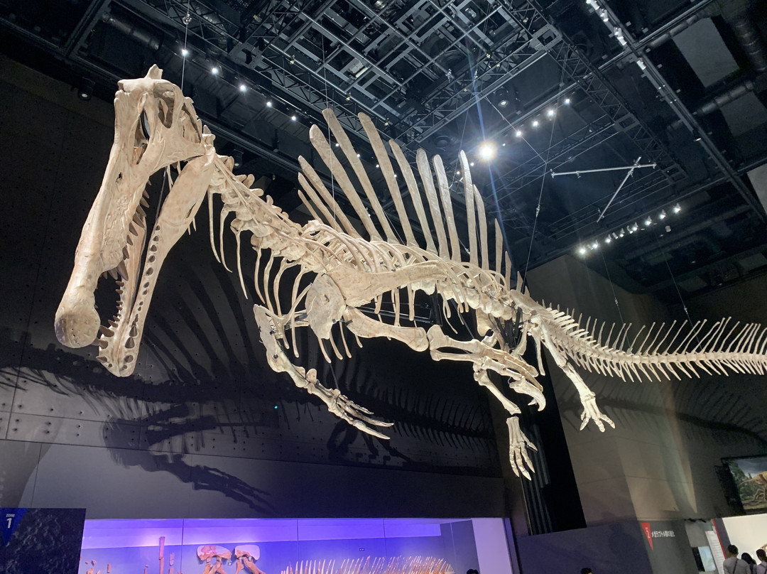 Fukui Prefectural Dinosaur Museum-胜山市必去景点
