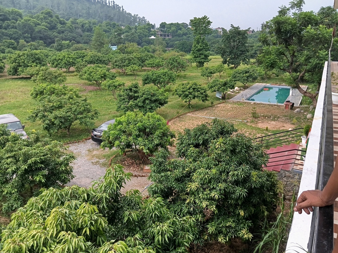 Kattapathar Nature Resort