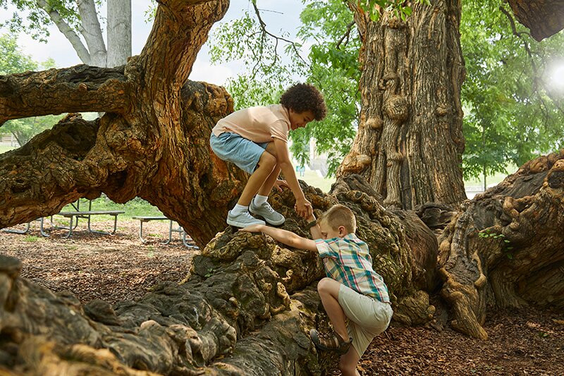 Old Fort Harrod State Park-Harrodsburg必去景点