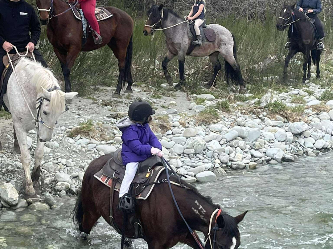 Real Kiwi Horse Trekking-菲尔利必去景点