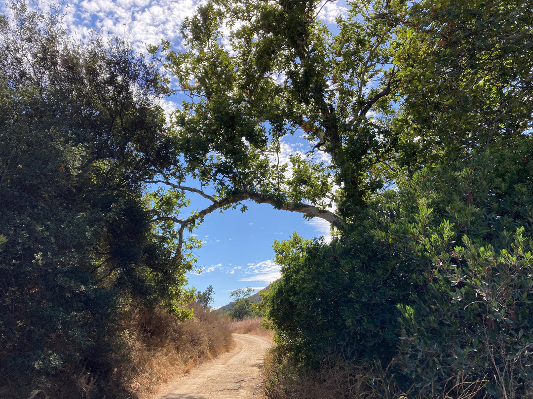 Black Star Canyon Trail-橘子郡必去景点