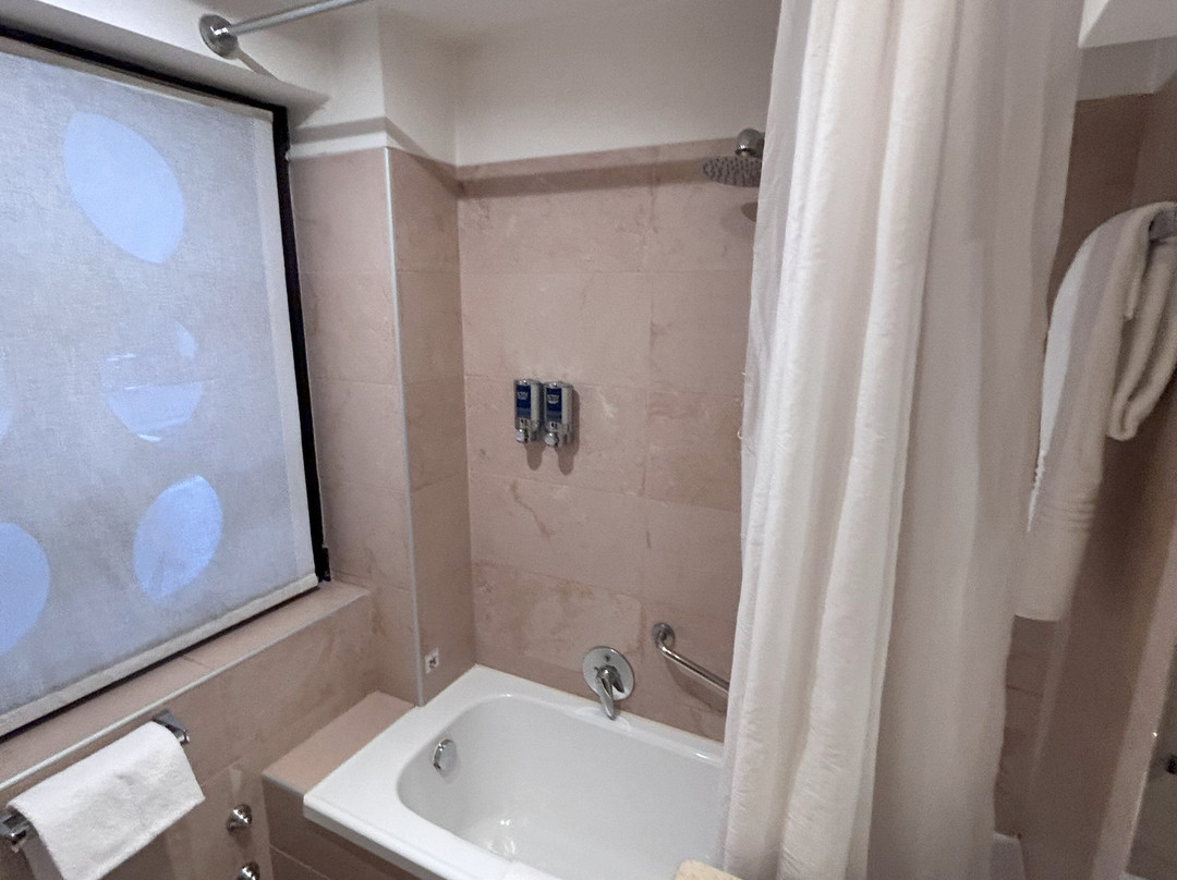 帕多瓦喜来登酒店及会议中心主图