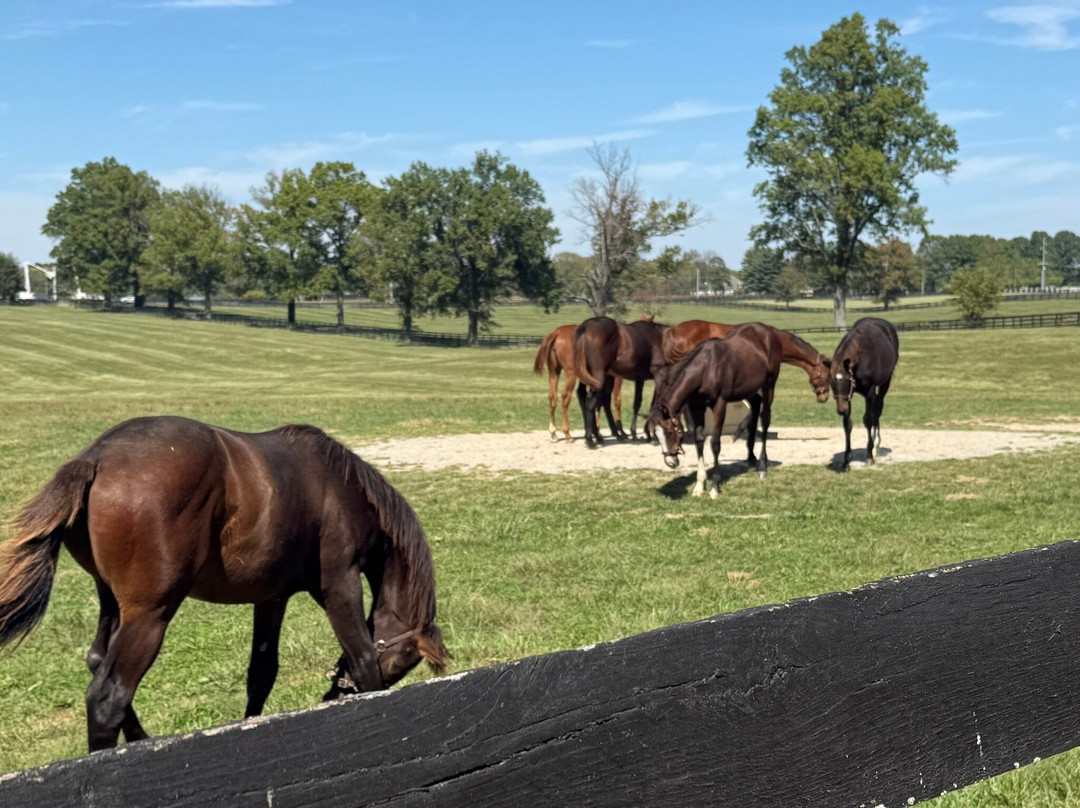 Hermitage Farm-Goshen必去景点