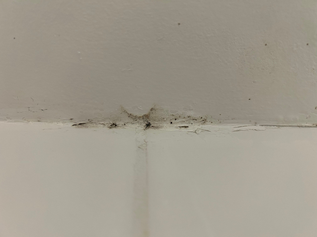 Travelodge Great Yarmouth主图