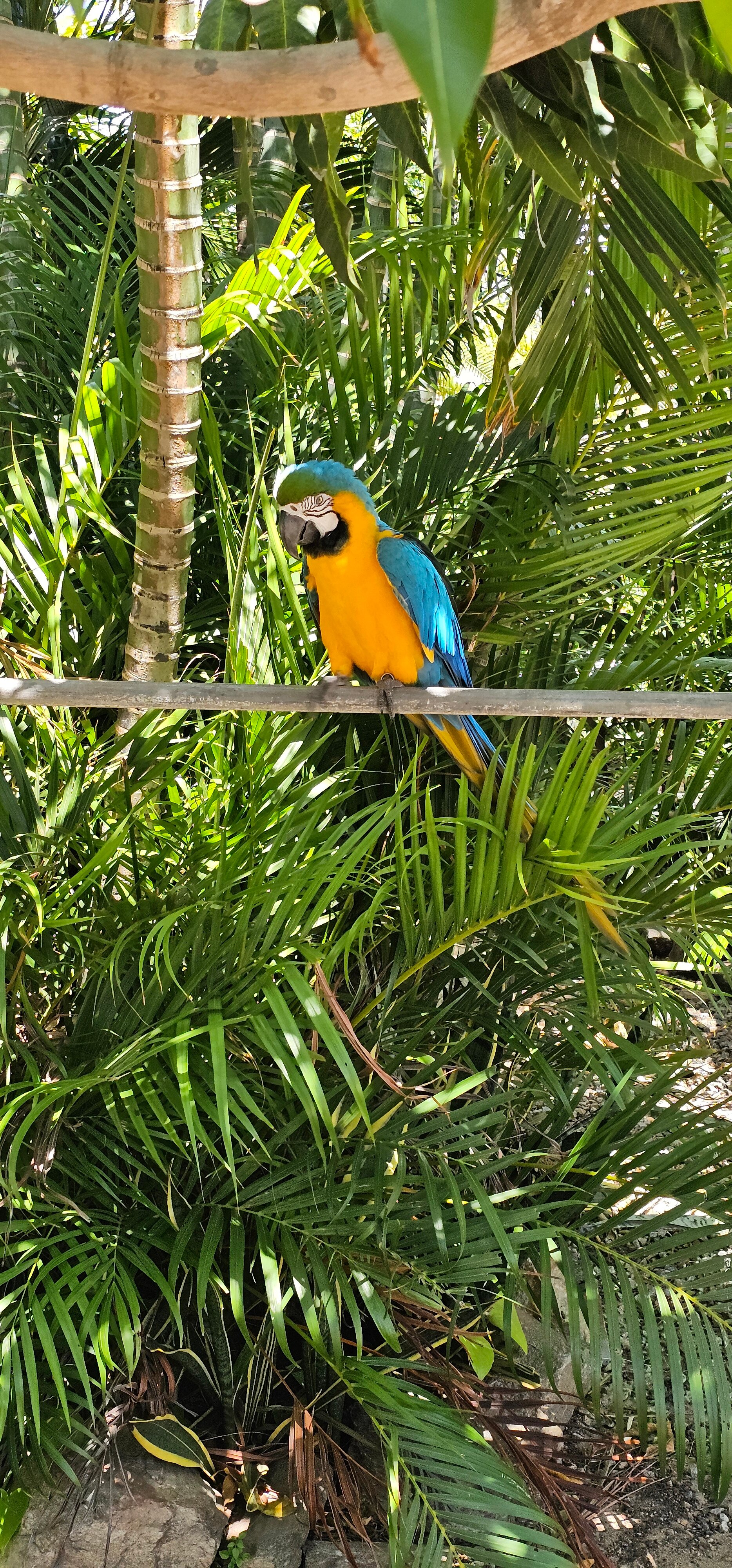 Pousada Casa do Alemao-官方