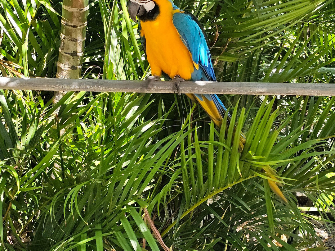 Pousada Casa do Alemao主图