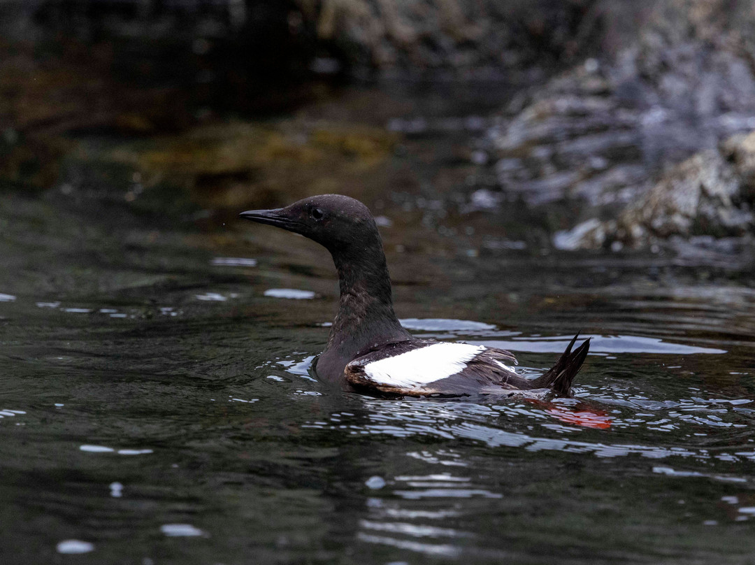 Sisimiut Museum-Sisimiut必去景点