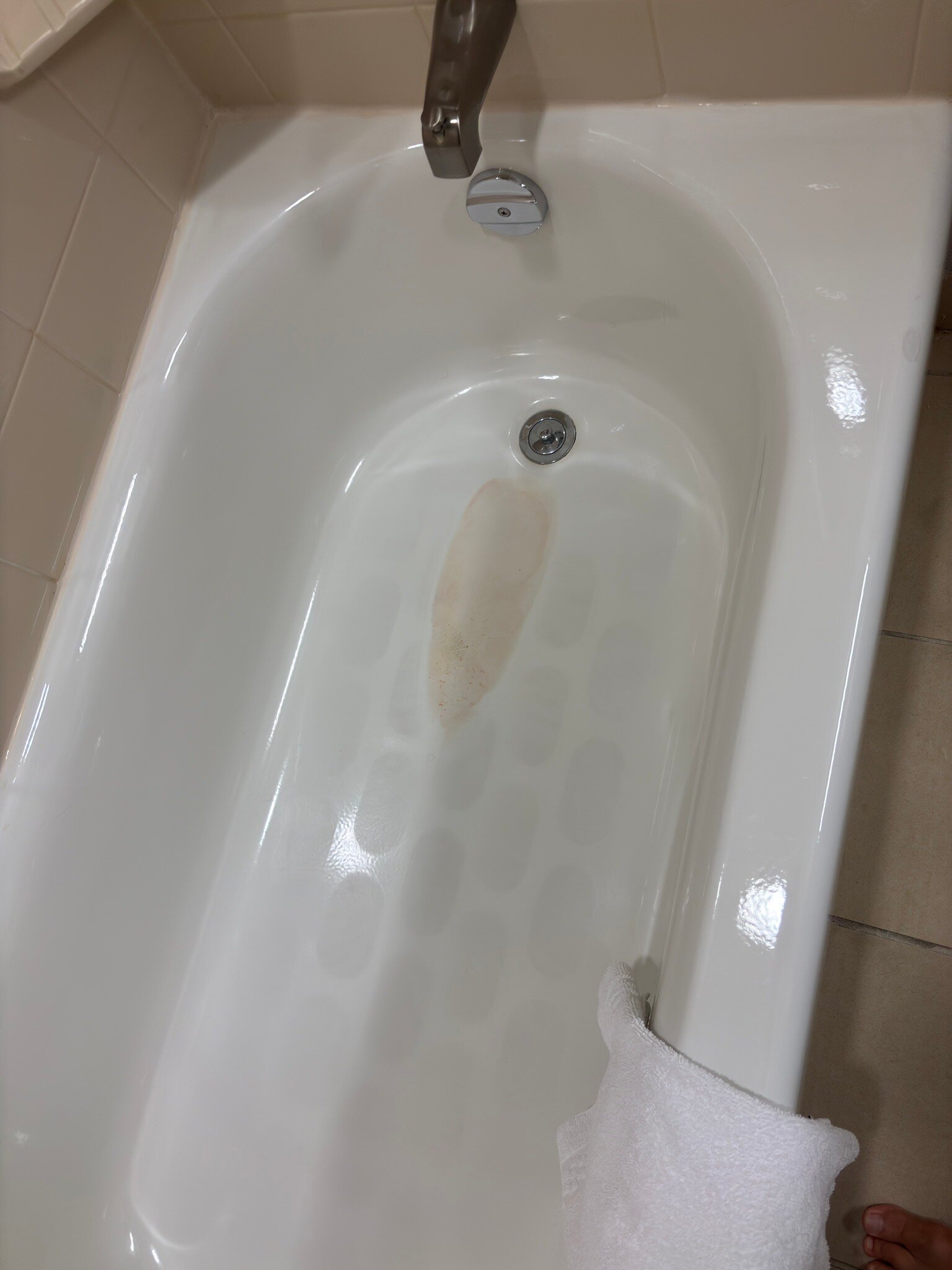 哈利法克斯市中心万怡酒店-官方