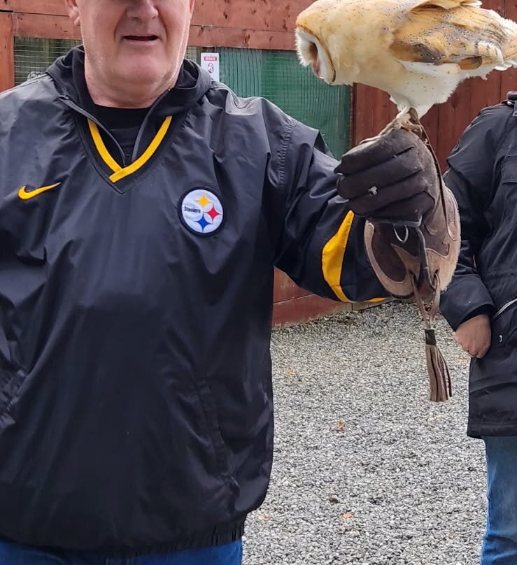 Dublin Falconry-Castleknock必去景点