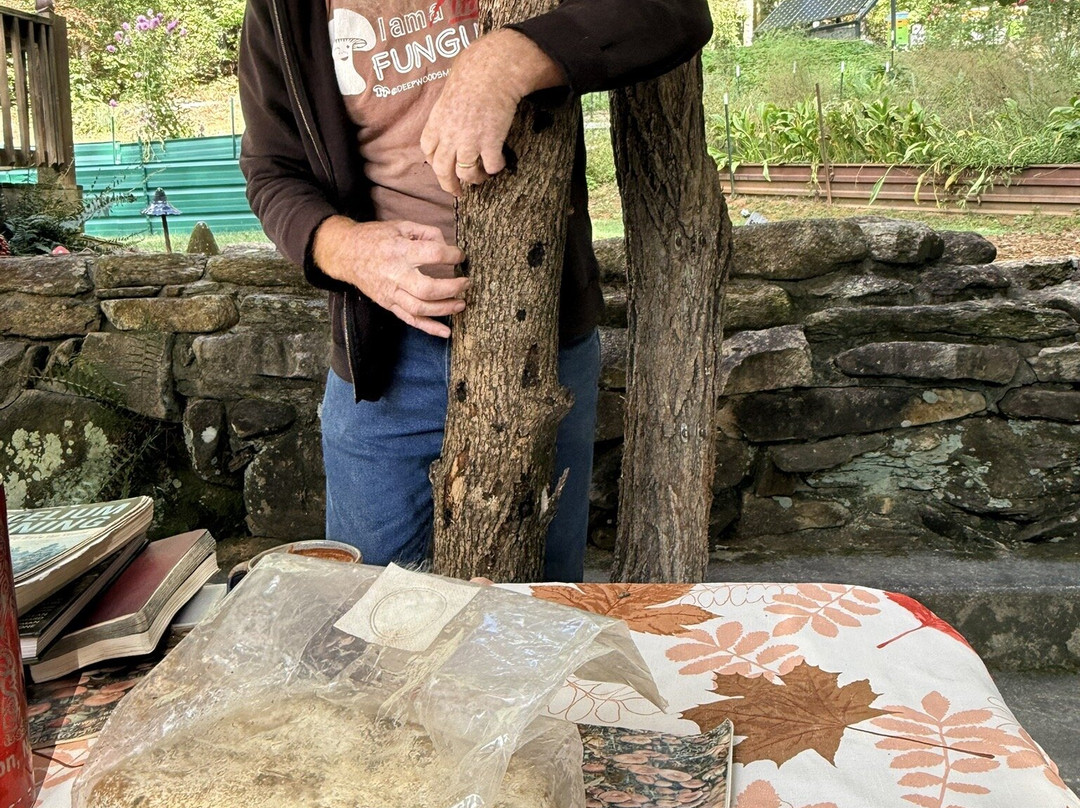 Deep Woods Mushrooms