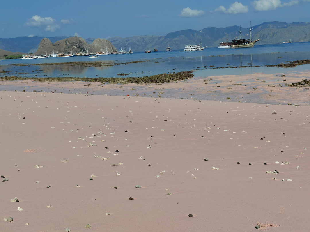 Komodo Dreamland Tour-Labuan Bajo必去景点