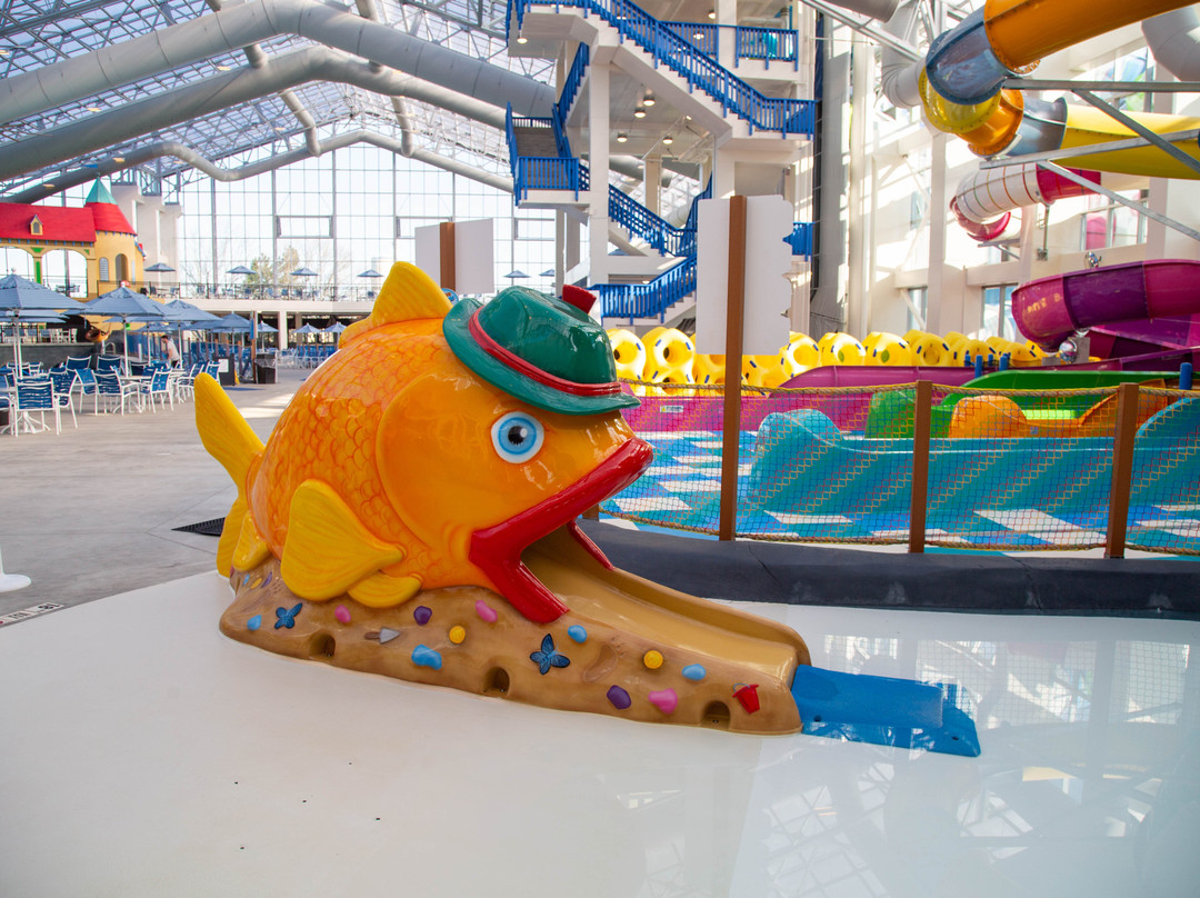 Bavarian Blast Waterpark-弗兰肯默斯必去景点