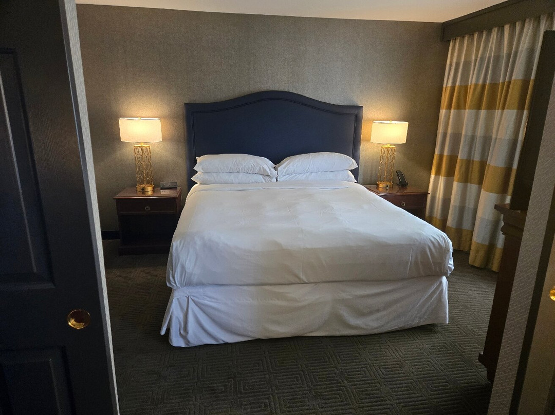 喜来登国际展览中心套房酒店主图