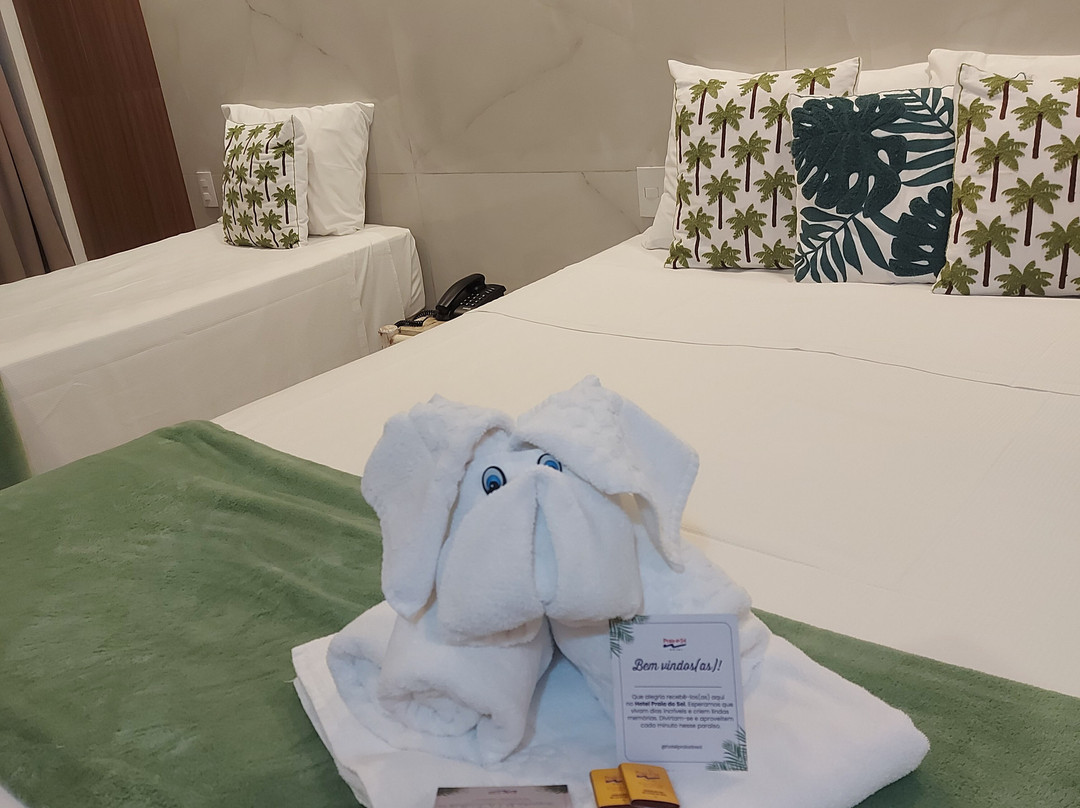 Hotel Praia do Sol主图