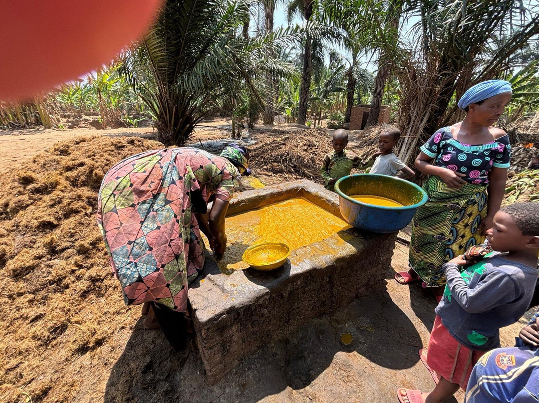 Burundi Discovery Tours-布松布拉必去景点