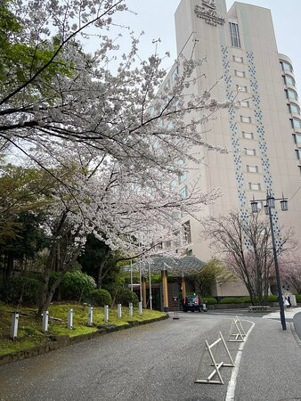 东京王子酒店樱花饭店主图
