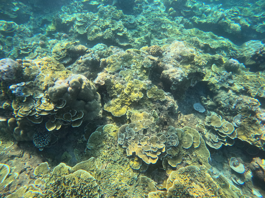 Amed Sailing-Bunutan必去景点