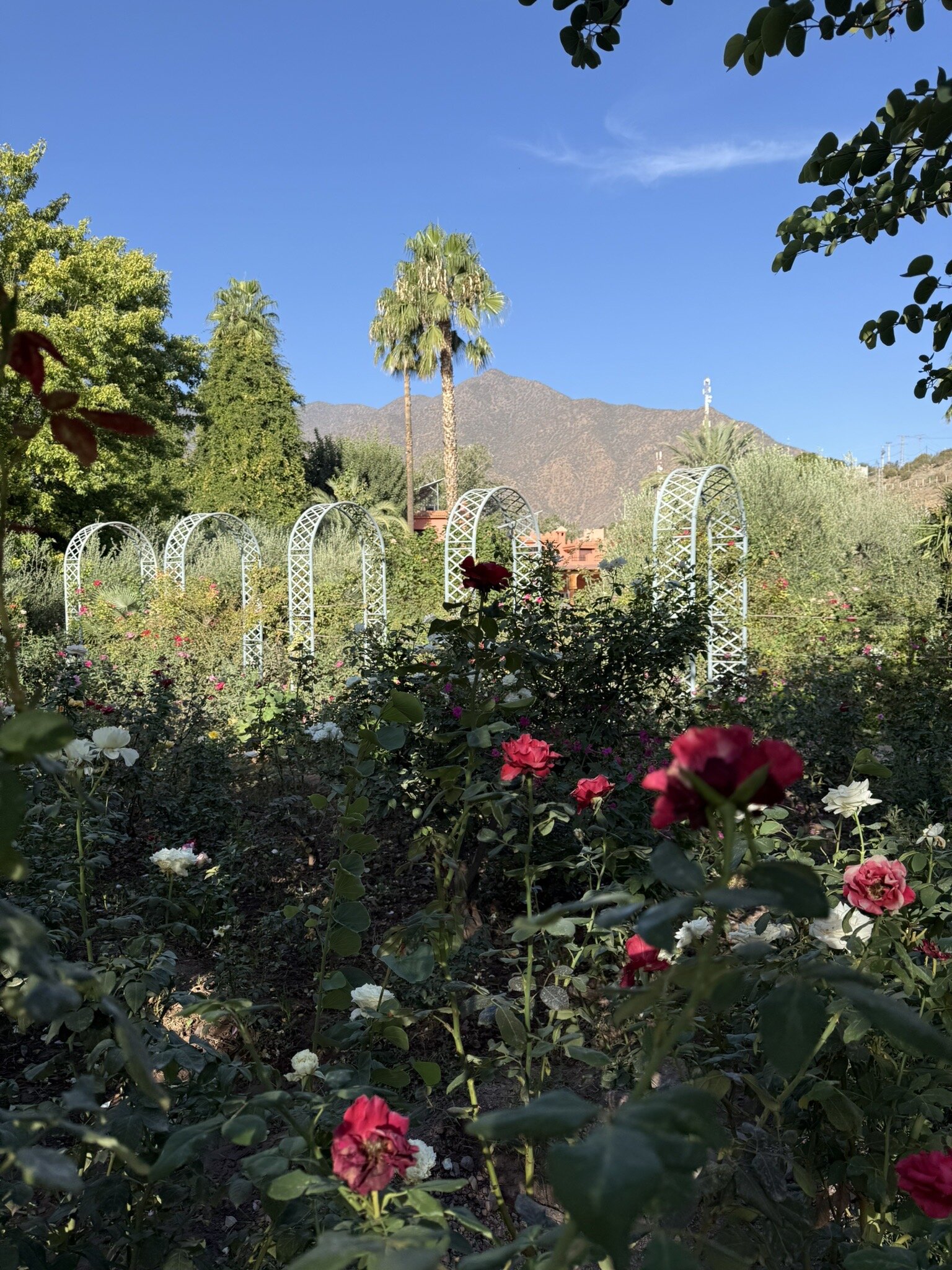 Domaine De La Roseraie-官方